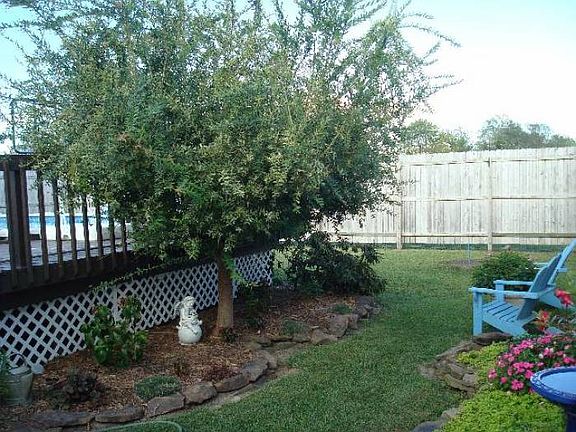 landscaping