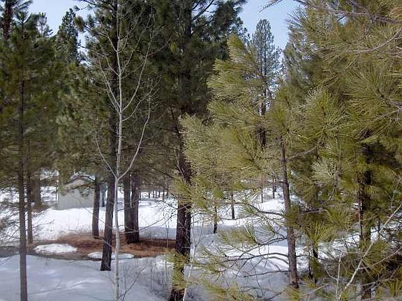 5th image of LOT 1&2 Springs