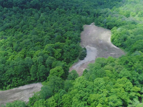 2nd image of 4570 Pointer Creek Rd