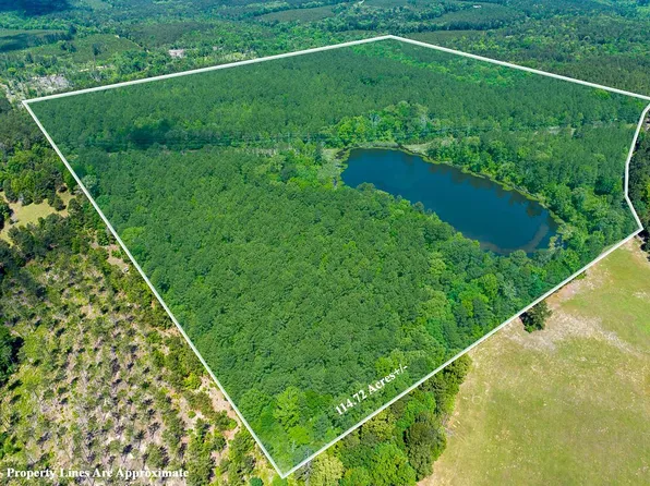 3 County Road 1115, Atlanta, TX 75551