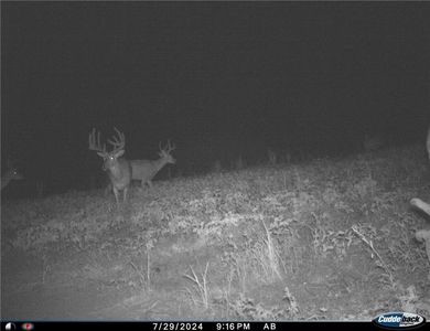 T Hwy, Milan, MO, 63556