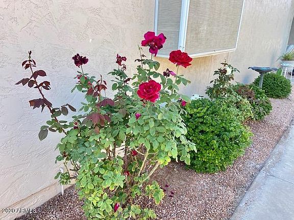 4th image of 10618 E Voax Dr