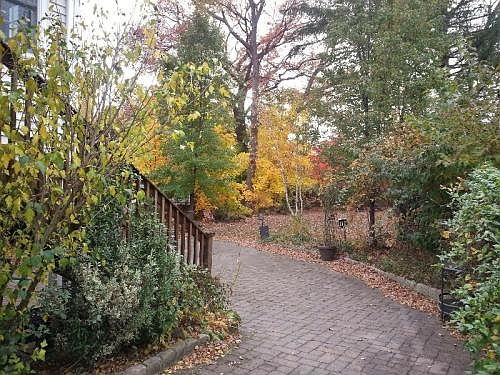 End of Driveway (looking to patio/left yard/right