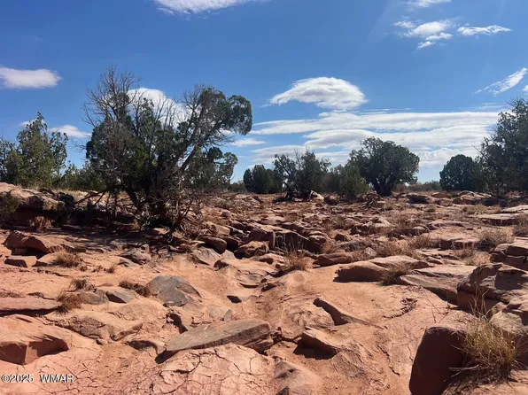 0 N Old Woodruff Rd, Snowflake, AZ 85937