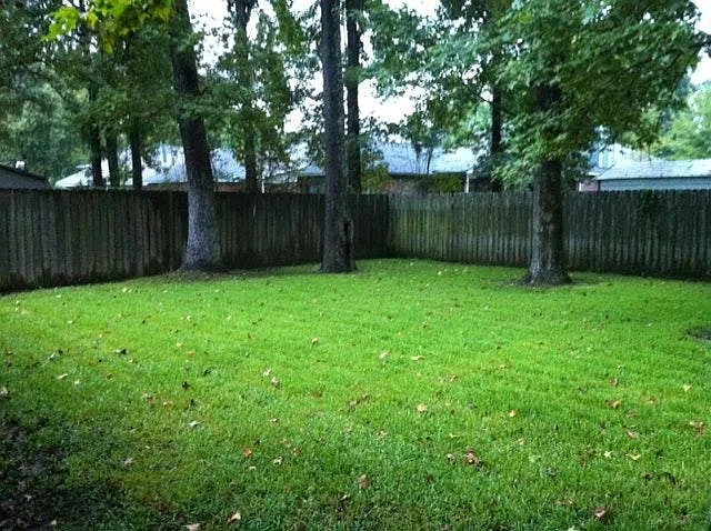 8591 Oliver Ave — Photo 15