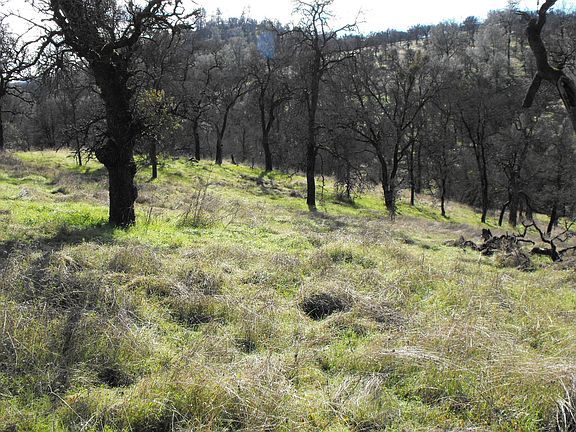 3rd image of 10419 Lozano Rd