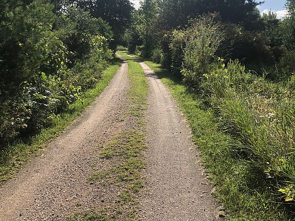 Driveway access