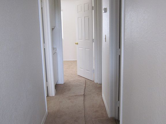 5th image of 1804 Yolanda Ct