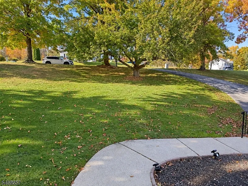 4 bed, 2.0 bath, $3,350 — Photo 3