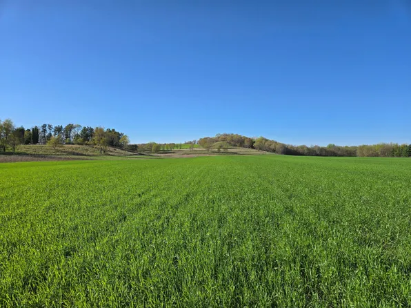 County Rd N, Wheeler, WI 54772