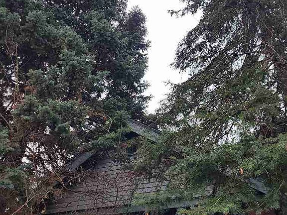 13936 Hazelridge