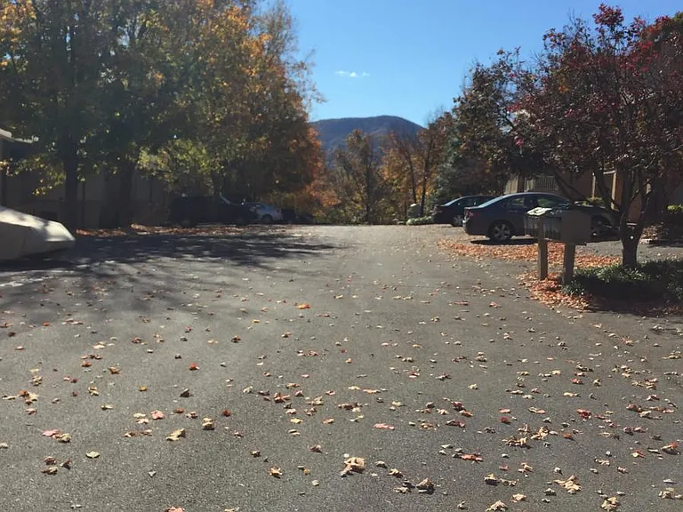 Quiet Street in awesome neighborhood