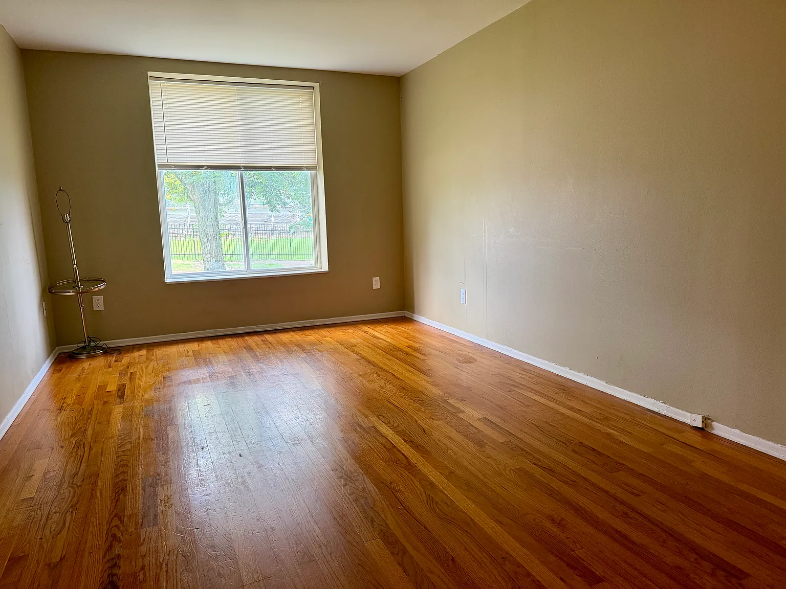 1 bed, 800 sqft, $800 — Photo 4