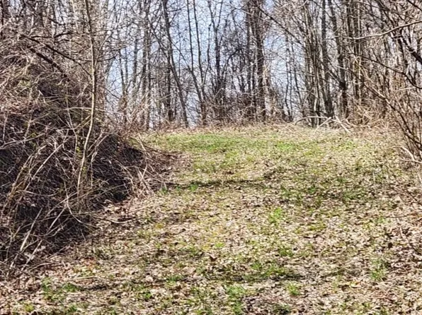 0 Hyacinth Dr #19, Clyde, NC 28721