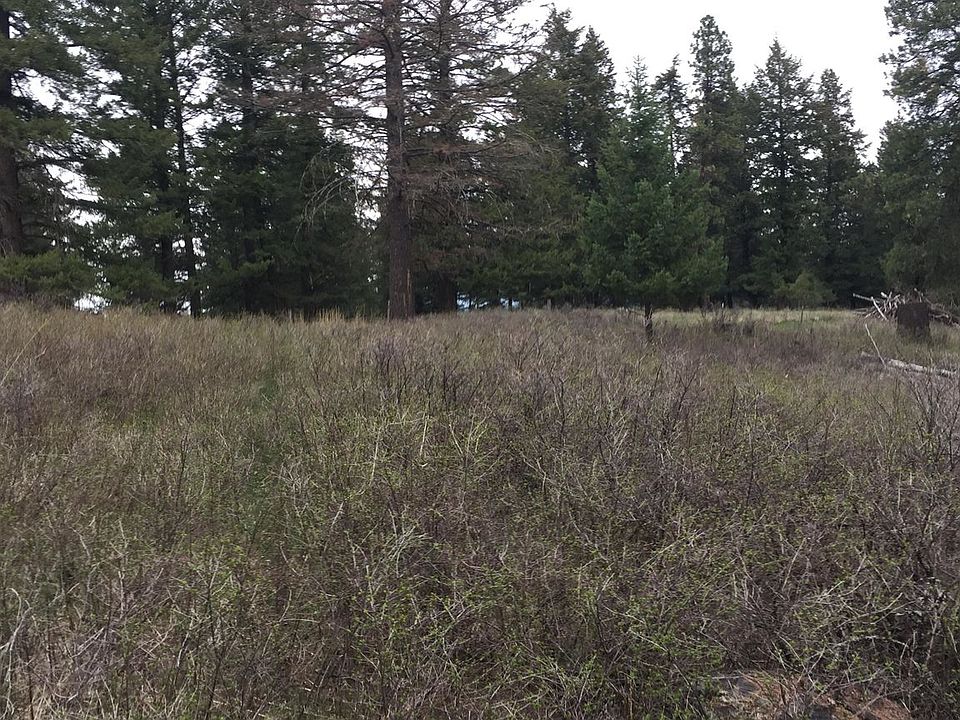 2nd image of 1088 Silvertip Dr N