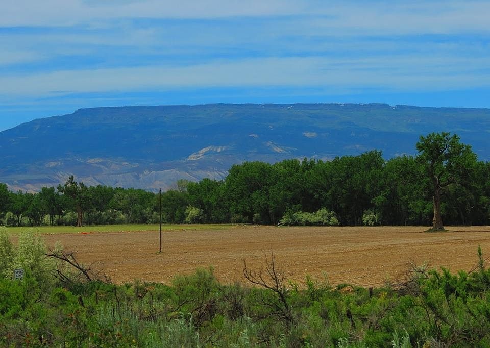2nd image of 3337 Ash Mesa Rd