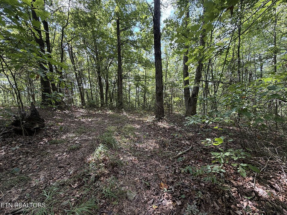 1st image of 361 Long View Ln