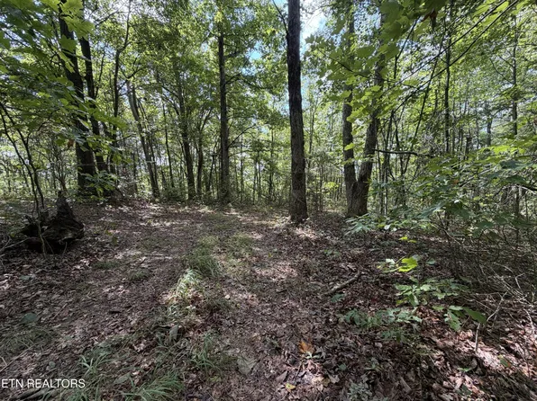 361 Long View Ln, Jamestown, TN 38556