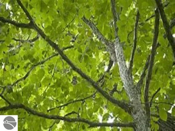 Buckaroo Trl, Petoskey, MI 49770