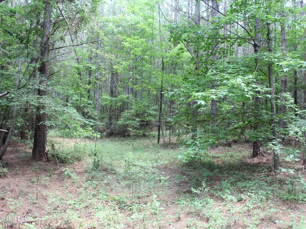 550 Highway, Brookhaven, MS 39601