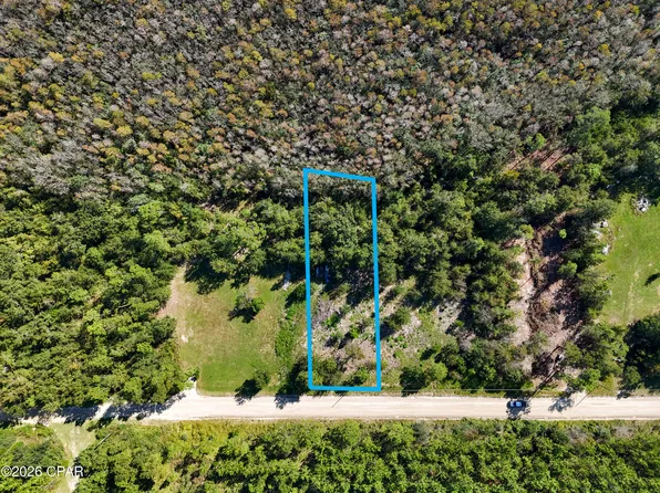 0 Dead Lakes Dr, Wewahitchka, FL 32465