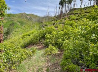 23 Lake View Dr, Bayfield, CO 81122