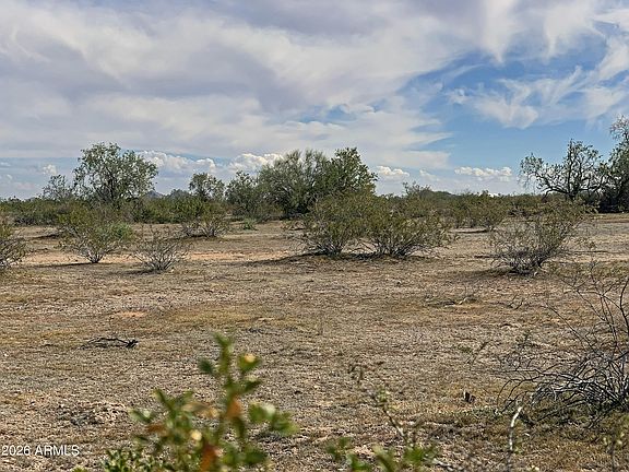 5th image of 0 W Pampas Grass Road #4