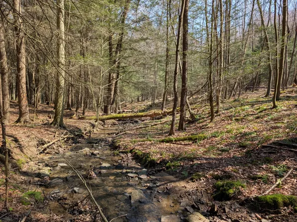 Friendly Acres Rd, Curwensville, PA 16833