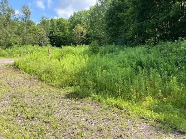 2212 Kypriotis Dr Lot 10, Cortland, NY 13045