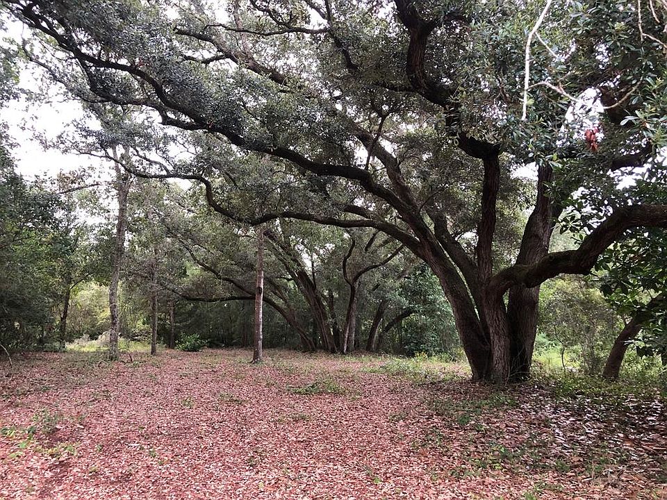 1st image of 2517 Palmetto Ter