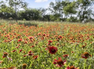 7 E Bay Dr, Bridgeport, TX 76426