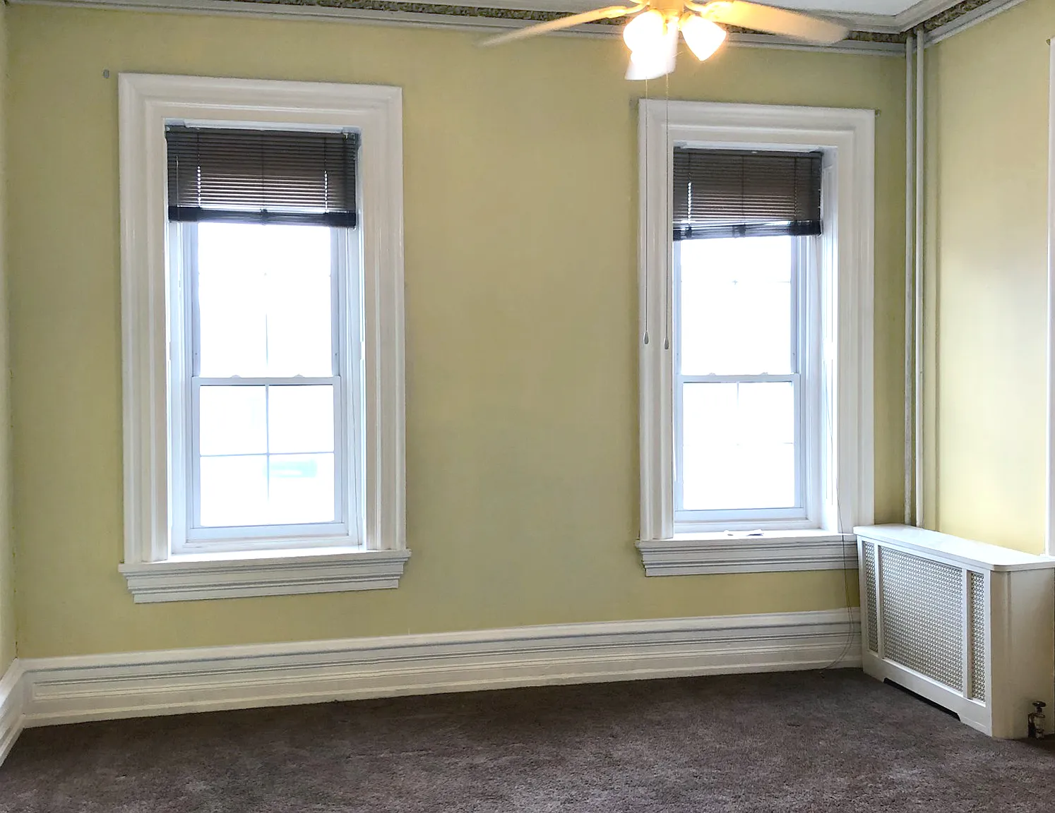 423-425 Radcliffe Street — Photo 1
