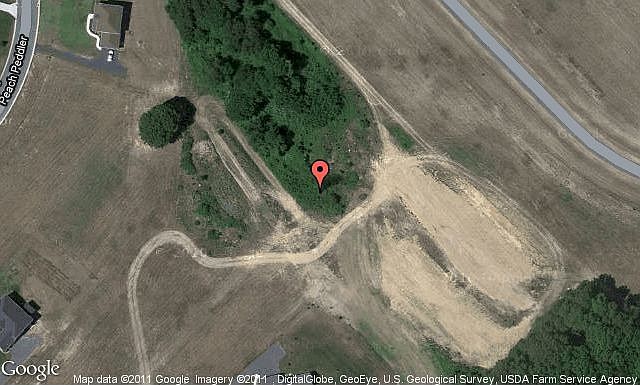 Map View