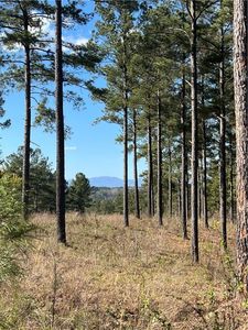 LOT 51 Highlands Ridge Rd, Salem, SC, 29676