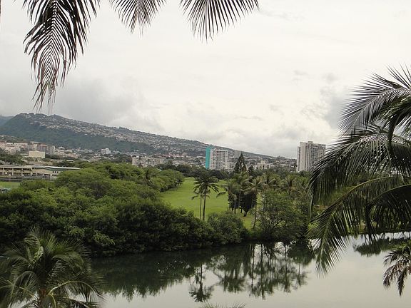 GOLF COURSE / DIAMOND HEAD VIEW