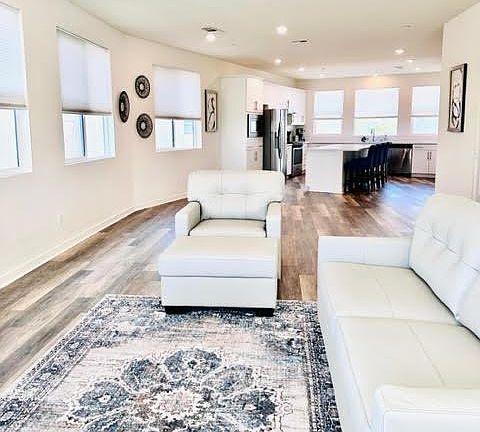 Open living room and kitchen