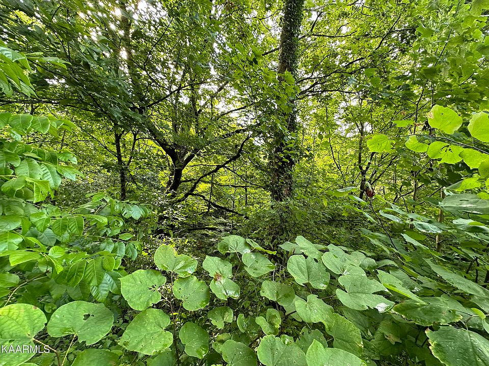 Caylor Rd, Ewing, VA 24248 MLS 1236632 Zillow