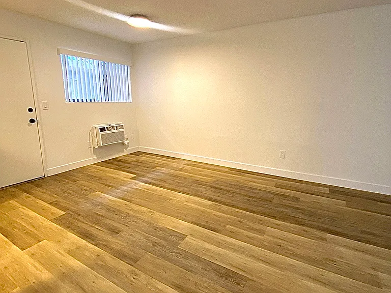 240 E Madison Ave #1 — Photo 3