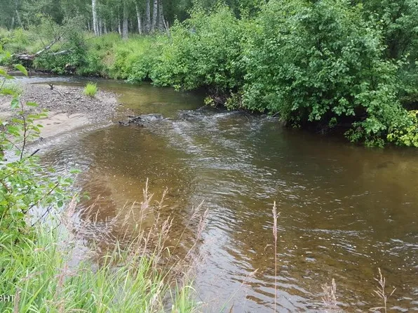 15250 N Deception Shores Cir, Willow, AK 99688