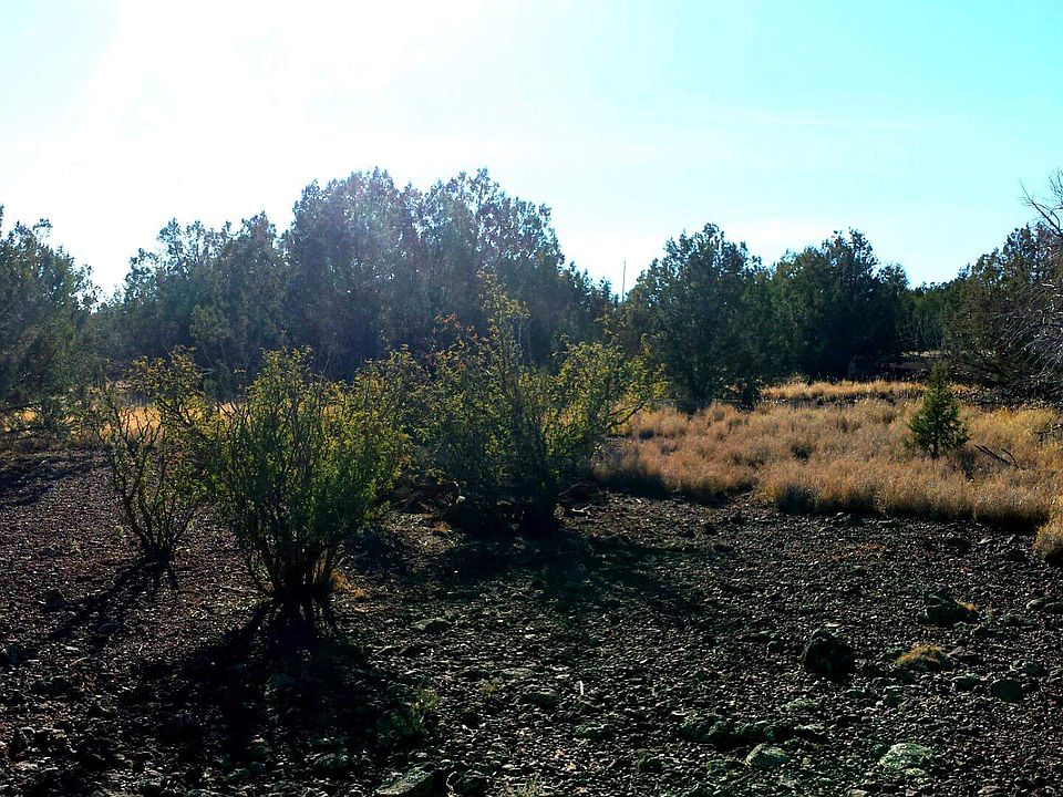 2nd image of 1140 W Loma Linda Dr