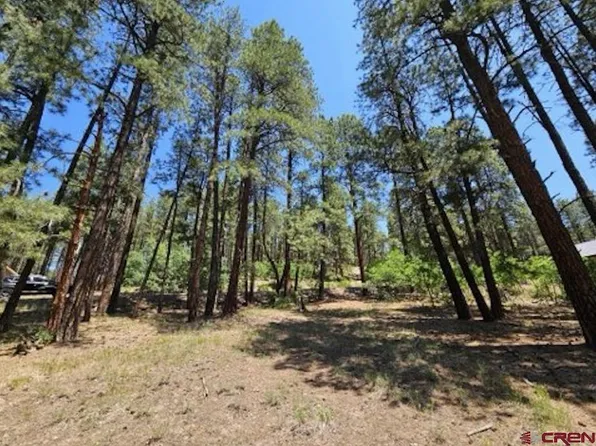 32 Cub Court, Bayfield, CO 81122