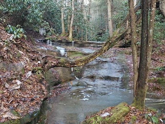 2nd image of 2 Mullins Point Rd