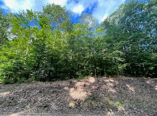 Hunters Rdg, Gaylord, MI 49735