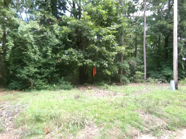 Lot 37 Plantation Road, Elizabethtown, NC 28337