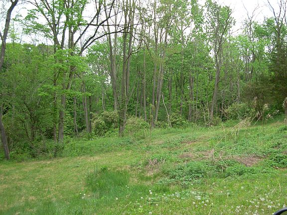 5th image of 6629 Route 82