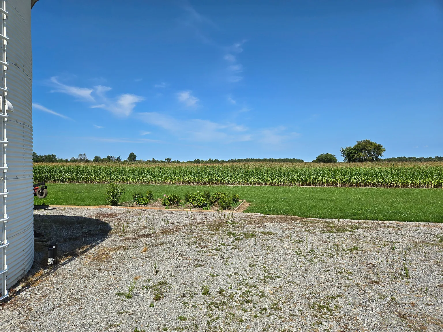 1 bed, $1,800 — Photo 4