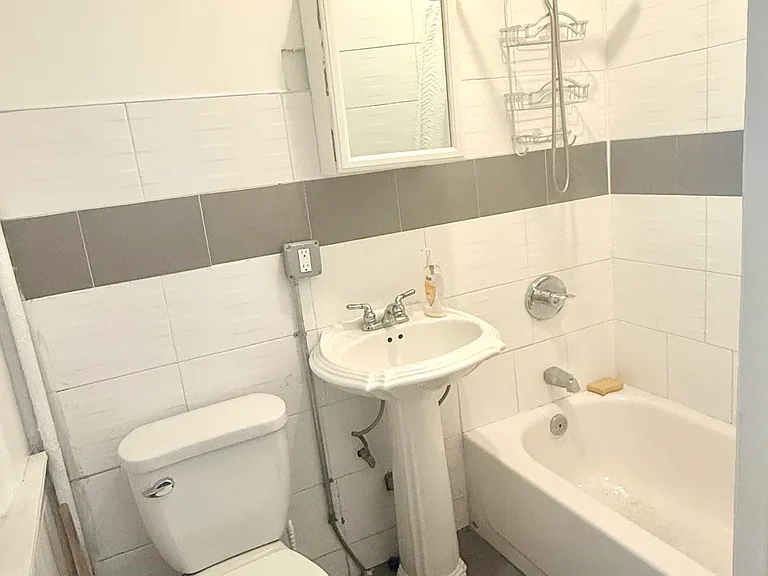 239 Troy Ave #1 — Photo 5