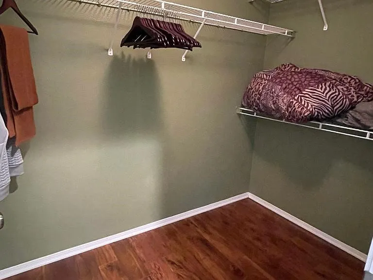 27139 Tube Rose St — Photo 12