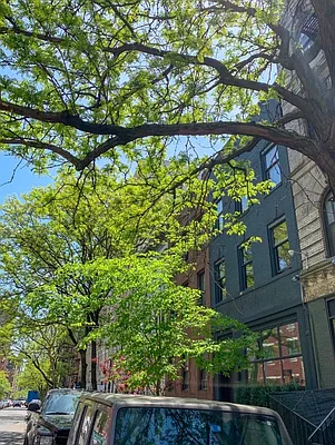 Rented by Dallien Realty Limited Liability Company | media 54