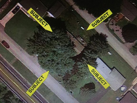 Above View/Mature Trees